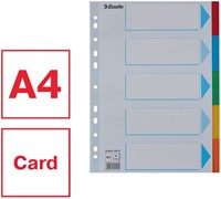 Tabbladen Esselte Standaard A4 5-delig karton 11-rings met voorblad assorti-6