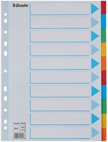 Tabbladen Esselte Standaard A4 10-delig karton 11-rings met voorblad assorti