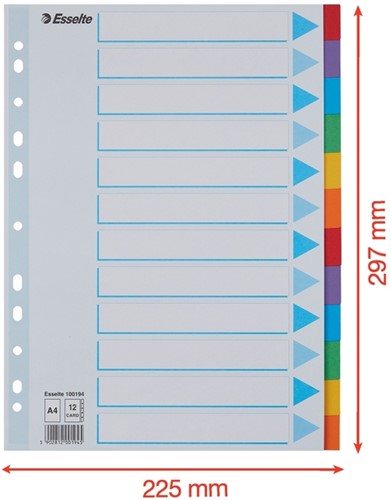 Tabbladen Esselte Standaard A4 12-delig karton 11-rings met voorblad assorti-2