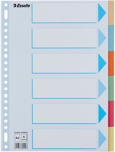 Tabbladen Esselte Premium A4 6-delig karton 23-rings assorti