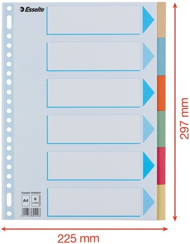 Tabbladen Esselte Premium A4 6-delig karton 23-rings assorti-2