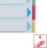 Tabbladen Esselte Premium A4 6-delig karton 23-rings assorti-1