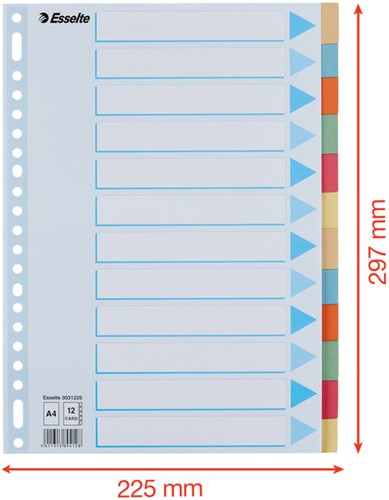Tabbladen Esselte Premium A4 12-delig karton 23-rings assorti-2