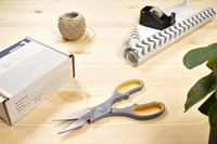 Huishoudschaar Westcott 210mm met softgrip titanium-2