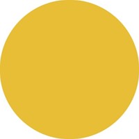 Markeerstift STABILO GREEN BOSS 6070/54 oranje-3