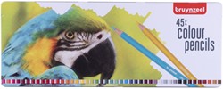 Kleurpotloden Bruynzeel papegaai blik à 45 stuks assorti