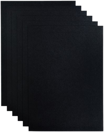 Kopieerpapier Papicolor A4 100gr 12 vel ravenzwart