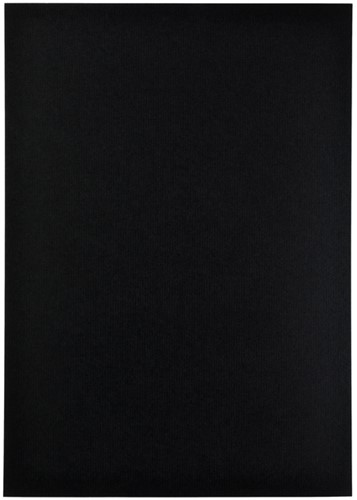 Kopieerpapier Papicolor A4 100gr 12 vel ravenzwart-3