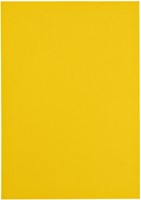 Kopieerpapier Papicolor A4 200gr 6 vel dottergeel-3