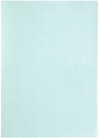 Kopieerpapier Papicolor A4 200gr 6 vel zeegroen-3