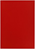 Kopieerpapier Papicolor A4 100gr 12 vel rood-3