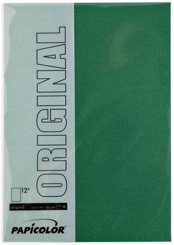Kopieerpapier Papicolor A4 200gr 6 vel dennengroen-2