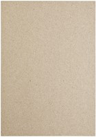 Kopieerpapier Papicolor A4 220gr 6 vel kraft grijs-3