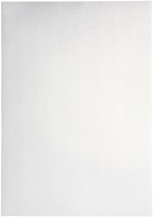 Kopieerpapier Papicolor A4 300gr 3 vel metallic parelwit-3