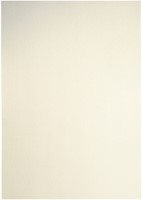 Kopieerpapier Papicolor A4 300gr 3 vel metallic ivoor-3