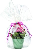 Cellofaanfolie Folia 200mx70cm 20 micron transparant-2