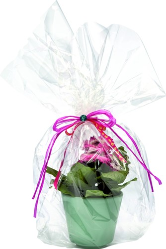 Cellofaanfolie Folia 200mx70cm 20 micron transparant-2