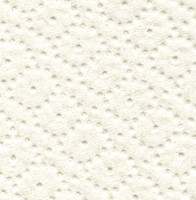 Poetspapier Satino CR1 Comfort 2-laags 1000 vel wit 305290-2