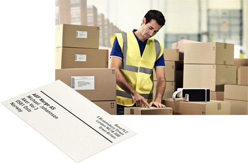 Etiket Leitz icon labelprint papier 59mmx102mm wit 225 stuks-3