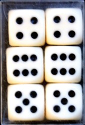 Dobbelstenen Verhaak 6 stuks