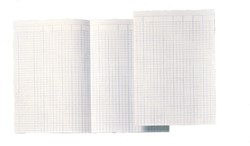 Accountantspapier Djois Atlanta A4 14 kolommen 100vel