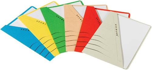 Insteekmap Djois Secolor A4 recycled 250gr chamois-2