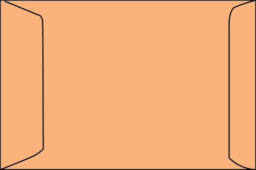 Envelop Quantore akte EC4 240x340mm bruinkraft 250 stuks-3