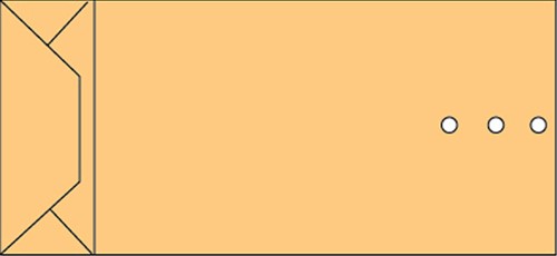 Envelop Quantore monsterzak 100x245x40mm bruin 250 stuks