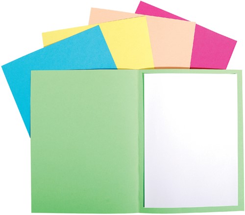 Vouwmap Exacompta Forever A4 170gr grijs 100 stuks-2