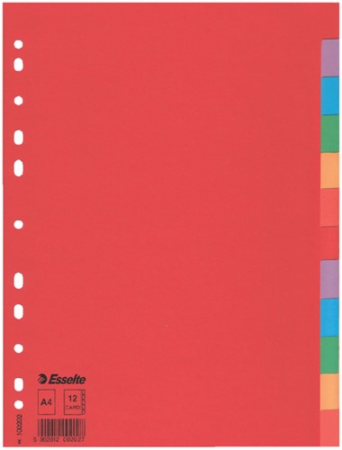 Tabbladen Esselte A4 11R karton 12-delig zonder voorblad