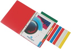 Tabstroken Esselte assorti 5 stuks