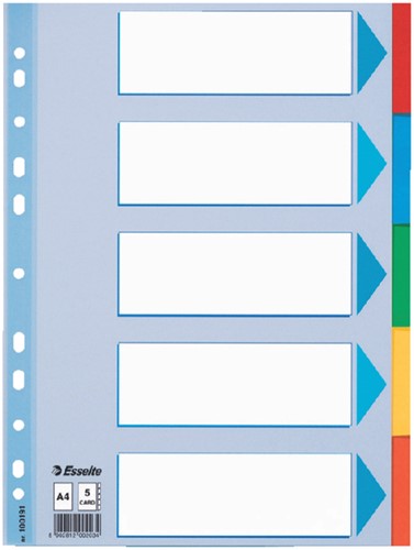 Tabbladen Esselte A4 11R karton 5-delig met voorblad