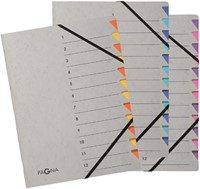 Sorteermap Pagna Easy A4 12 tabs oranje/geel-2