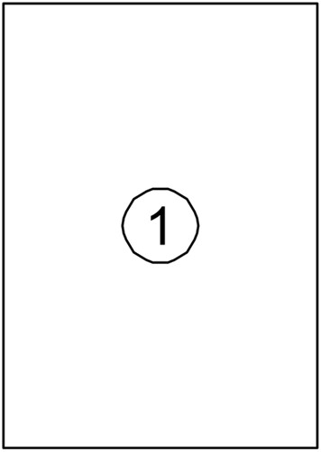 Etiket Avery DP001 210x297 wit 100 etiketten-2