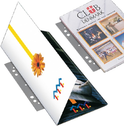 Opbergstrip Djois filestrip 125mm 2rings transparant 50 stuks-2