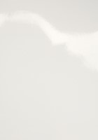 Voorblad Fellowes A4 PVC 200micron 100 stuks-2