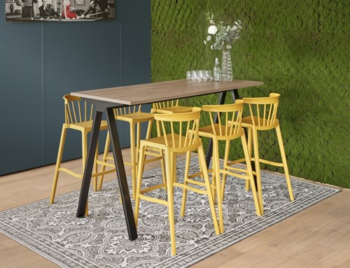 Bartafel V-poot recht hoog-2