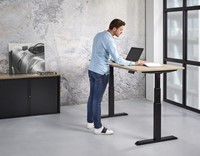 ZIT/STA BUREAU ECONOMY - 200X100 - LICHT EIK - ANTRACIET