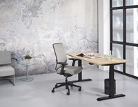 ZIT/STA BUREAU ELECTRISCH - 160X80 - BEUKEN - ANTRACIET